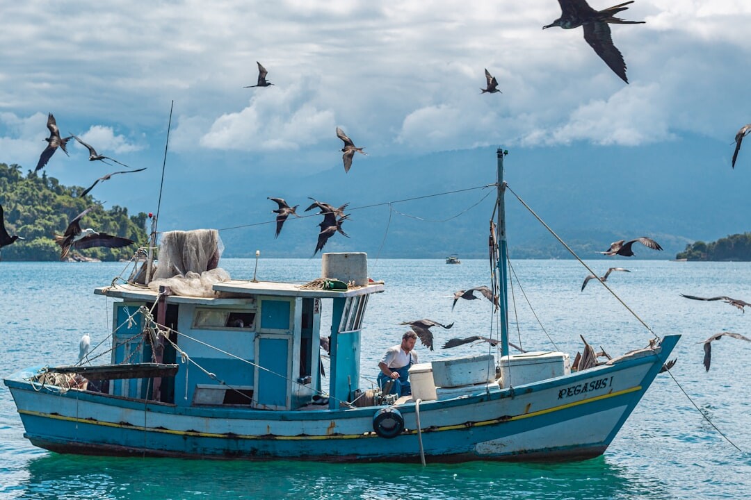 fishermen boat in sea
