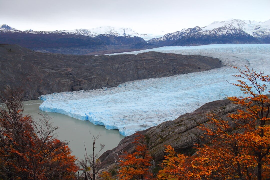 patagonia glacier shepherd