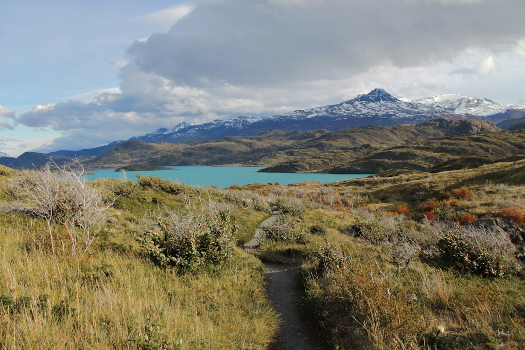 shepherd walking patagonia